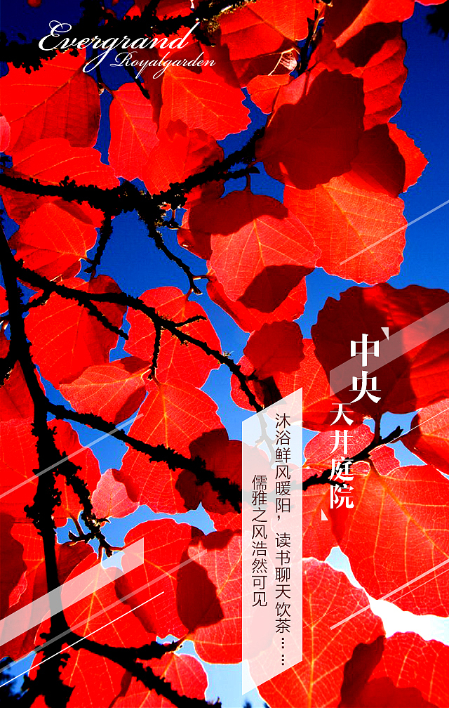 恒大帝景H5楼书设计（图ZNTcyNzM5MjQ=） - 其他平面 - 站酷设计师防晒锅原创素材 - 站酷ZCOOL