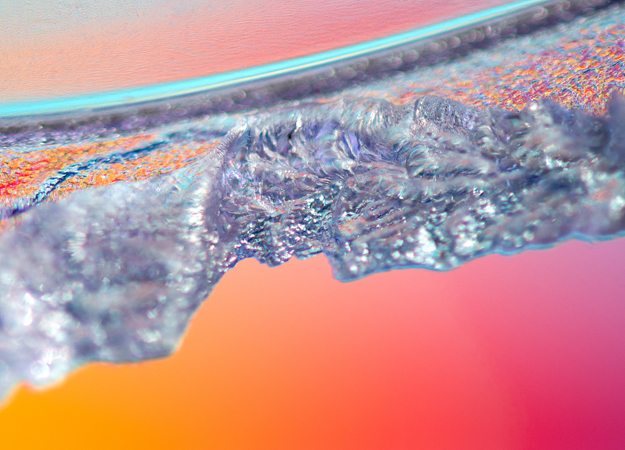 绽影像之《雪隐鹭鸶》