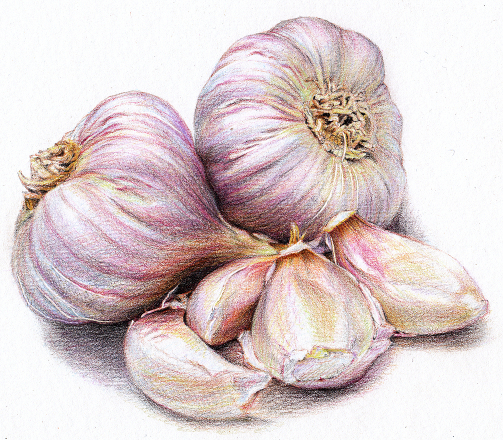 2012~2013彩铅画磨笔小品汇总(图ZMzQwNTcxNTY=) - 绘画 - 站酷设计师超超的青葱原创素材 - 站酷ZCOOL