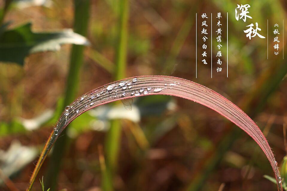 深秋之美（图ZNDI5NTEyODQ=） - 风光摄影 - 站酷设计师枫之爱恋原创素材 - 站酷ZCOOL