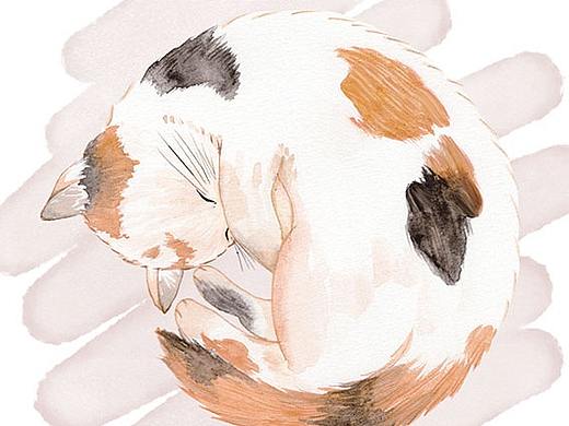 超萌可爱卷卷猫咪 明信片多图水彩