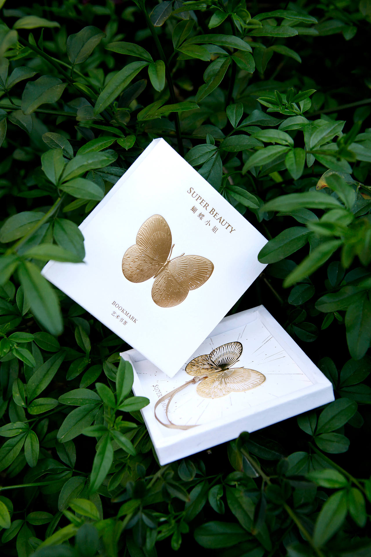 手心里蝴蝶小姐书签礼盒