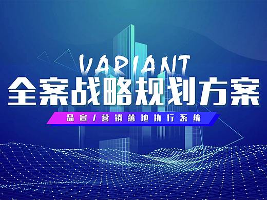 【山外山品牌营销策划】变体科技-全案战略规划方案