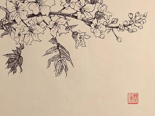 景观植物