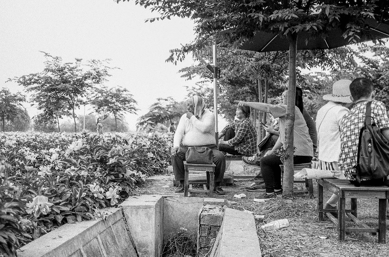 正式入坑旁轴——福伦达 Bessa T