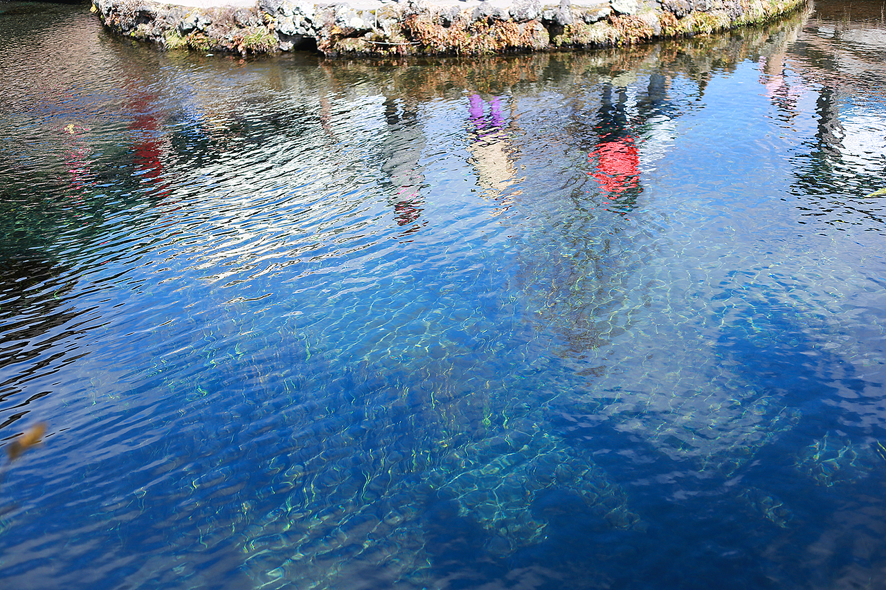 武士道。（日本行）（图ZNDI5MDA5ODQ=） - 其他 - 站酷设计师安静不给我原创素材 - 站酷ZCOOL