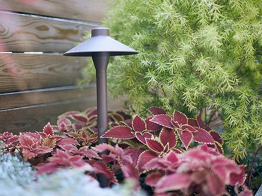 桂景园景观园林摄影 绿植庭院拍摄 深圳户外花园拍照