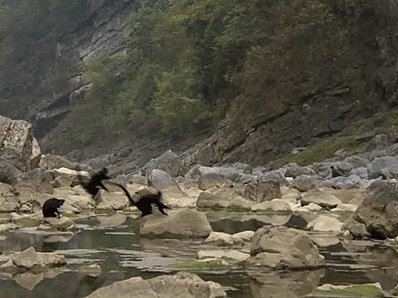 GIF（图ZMTYzMTc3ODQ=） - 其他UI - 站酷设计师AlexNin原创素材 - 站酷ZCOOL