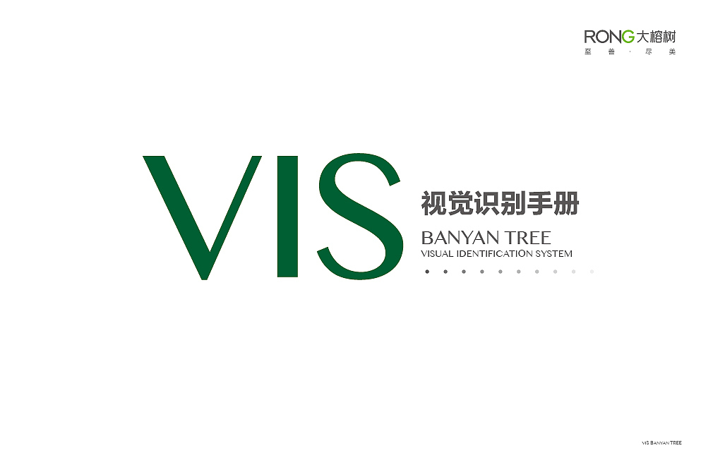 大榕树品牌VIS视觉识别系统