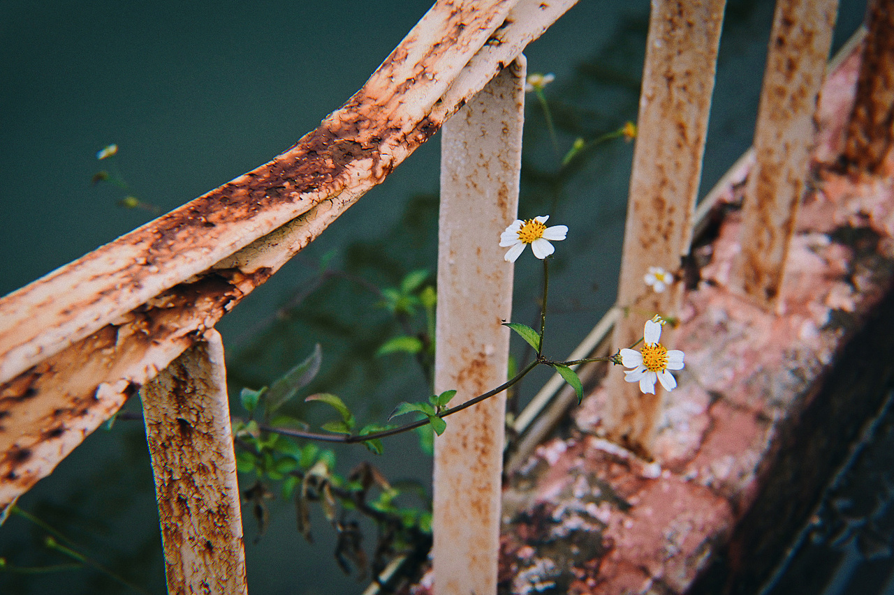 古兜温泉♨（图ZMzMyNjI2Mjgw） - 人文/纪实摄影 - 站酷设计师长得很酷的JIM原创素材 - 站酷ZCOOL
