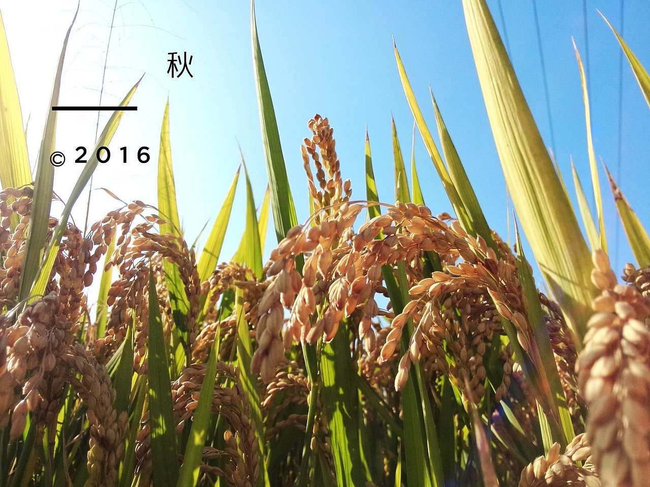 机场_外（图ZNjI2NTYyMTY=） - 修图/后期 - 站酷设计师一大口黑锅原创素材 - 站酷ZCOOL