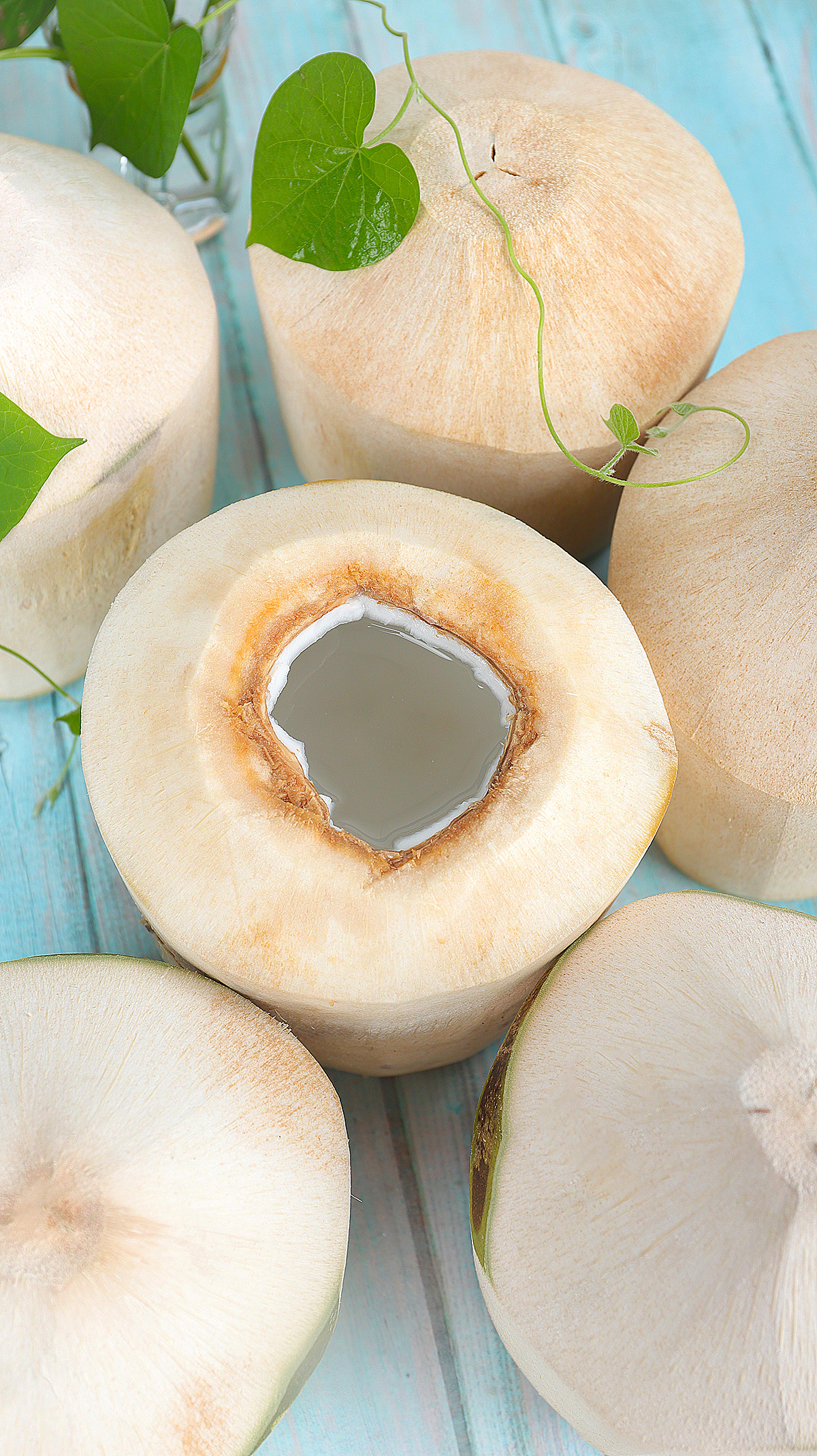 海南方椰提供黄金椰粒、椰子脆片、椰子脆块、生椰乳、速冻椰子水、椰果等 - FoodTalks食品供需平台