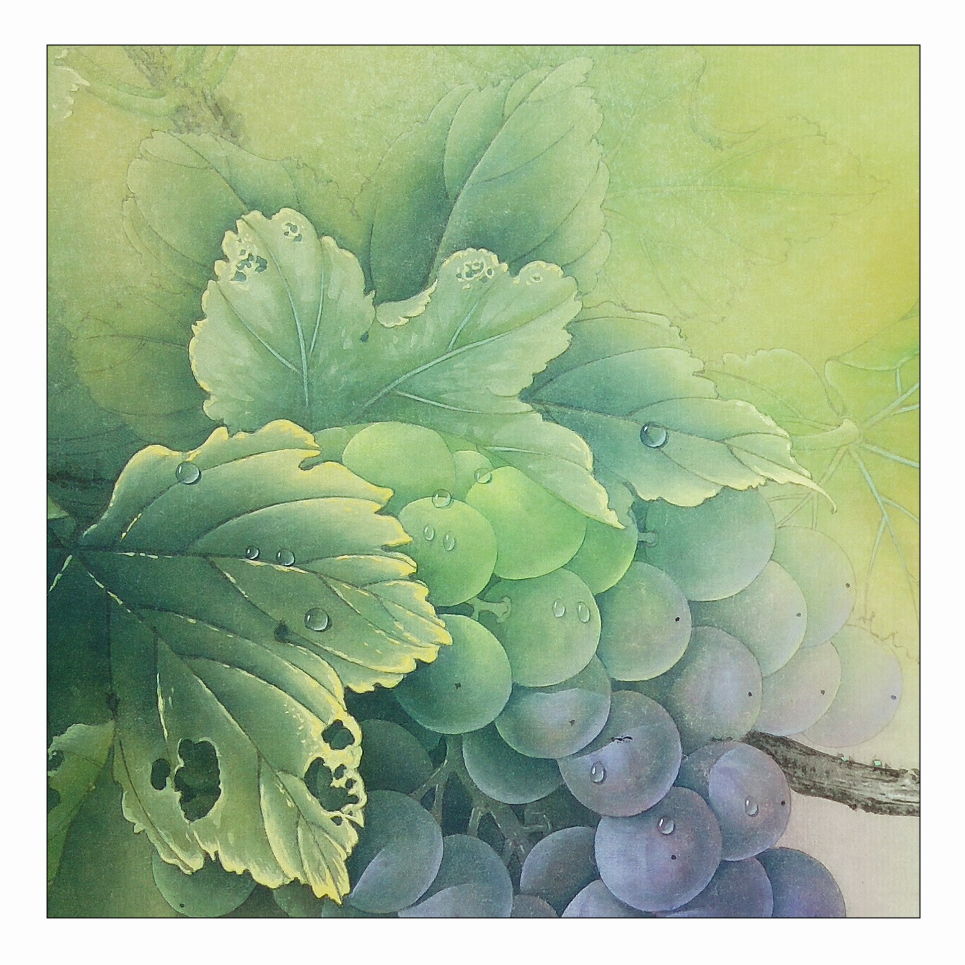 手绘-工笔-葡萄与蚂蚱