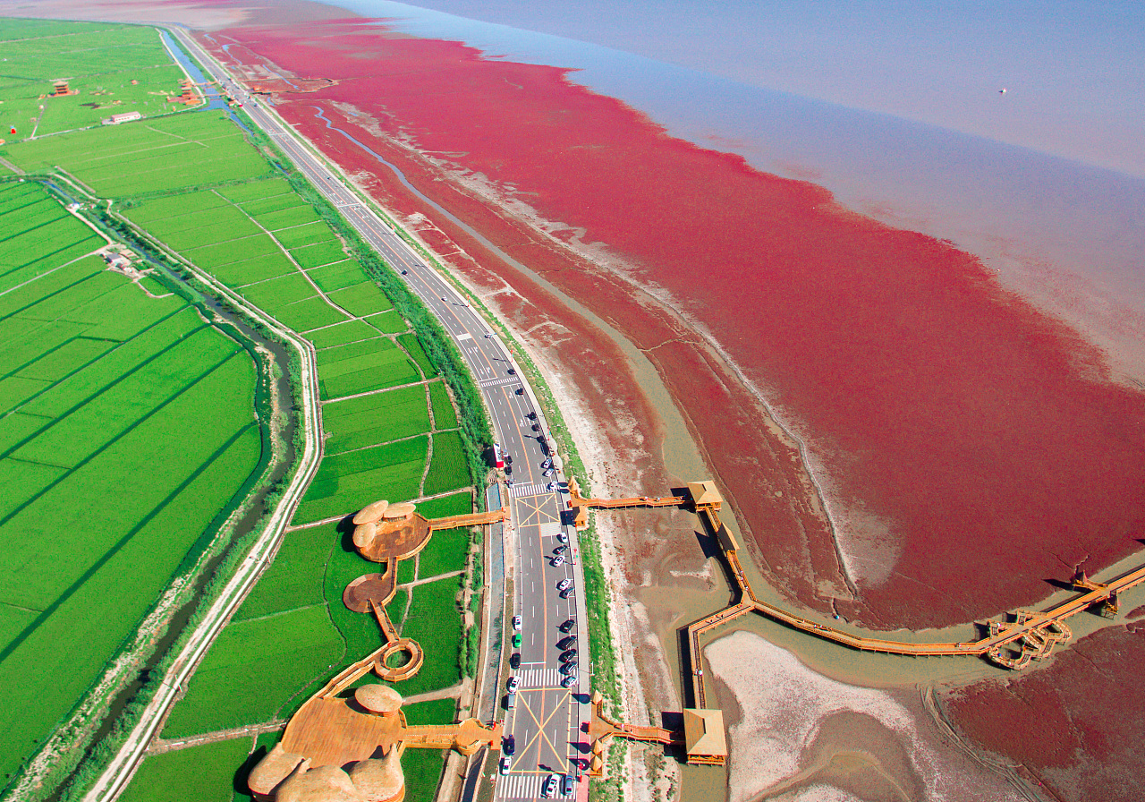 红海滩国家风景廊道-盘锦旅游攻略-游记-去哪儿攻略