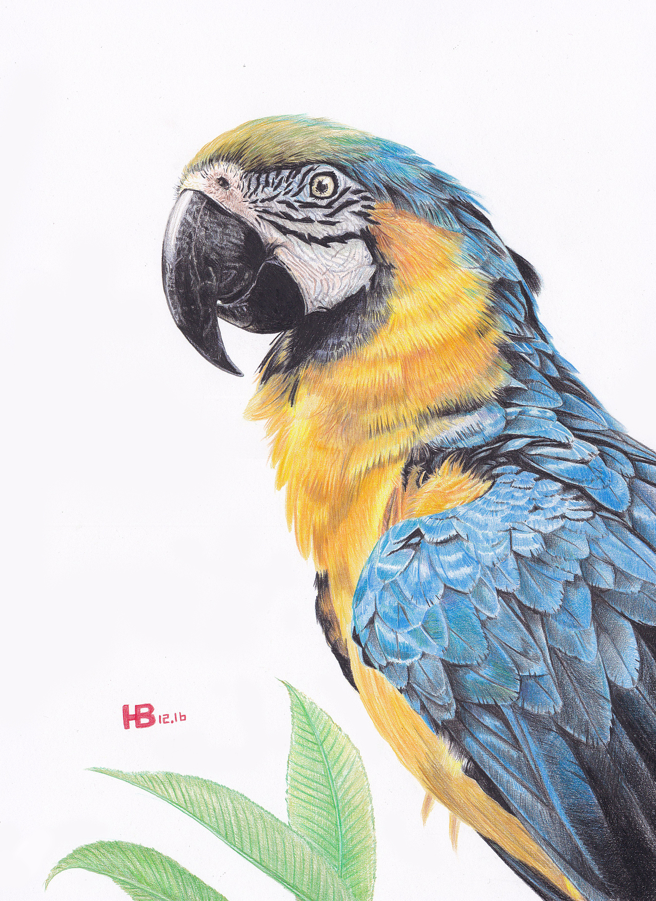 彩色铅笔我的最爱 |纯艺术|绘画|皓博2017_原创作品-站酷(zcool)