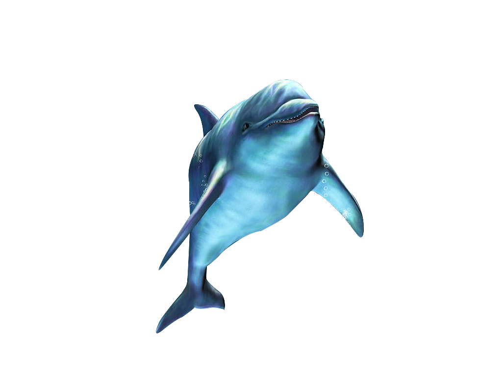 PS钢笔抠图赏析