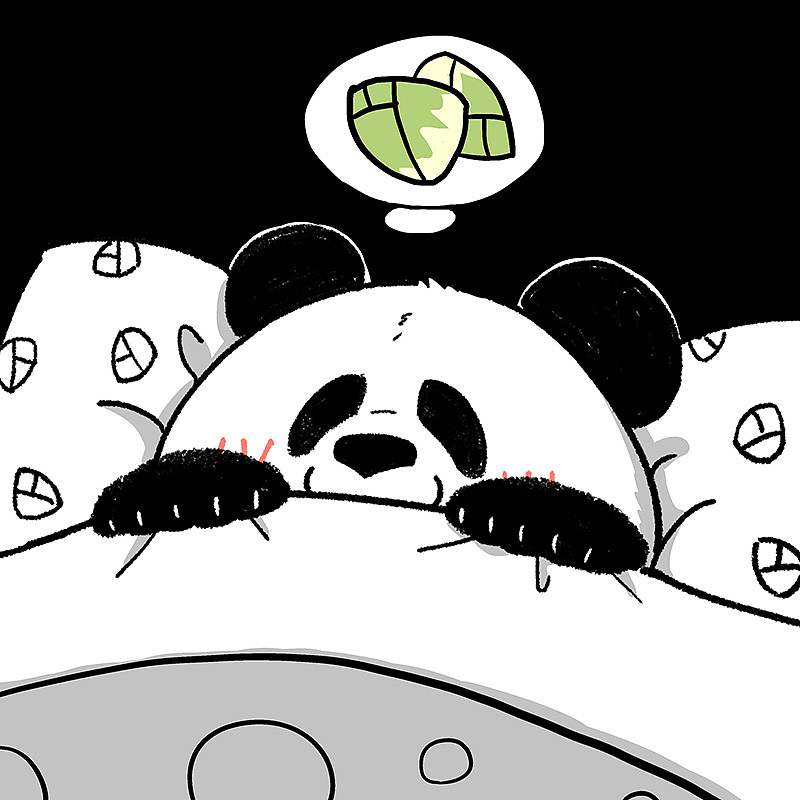 一大波黑白团子头像来袭~