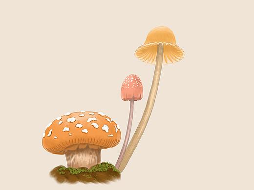 有毒的蘑菇