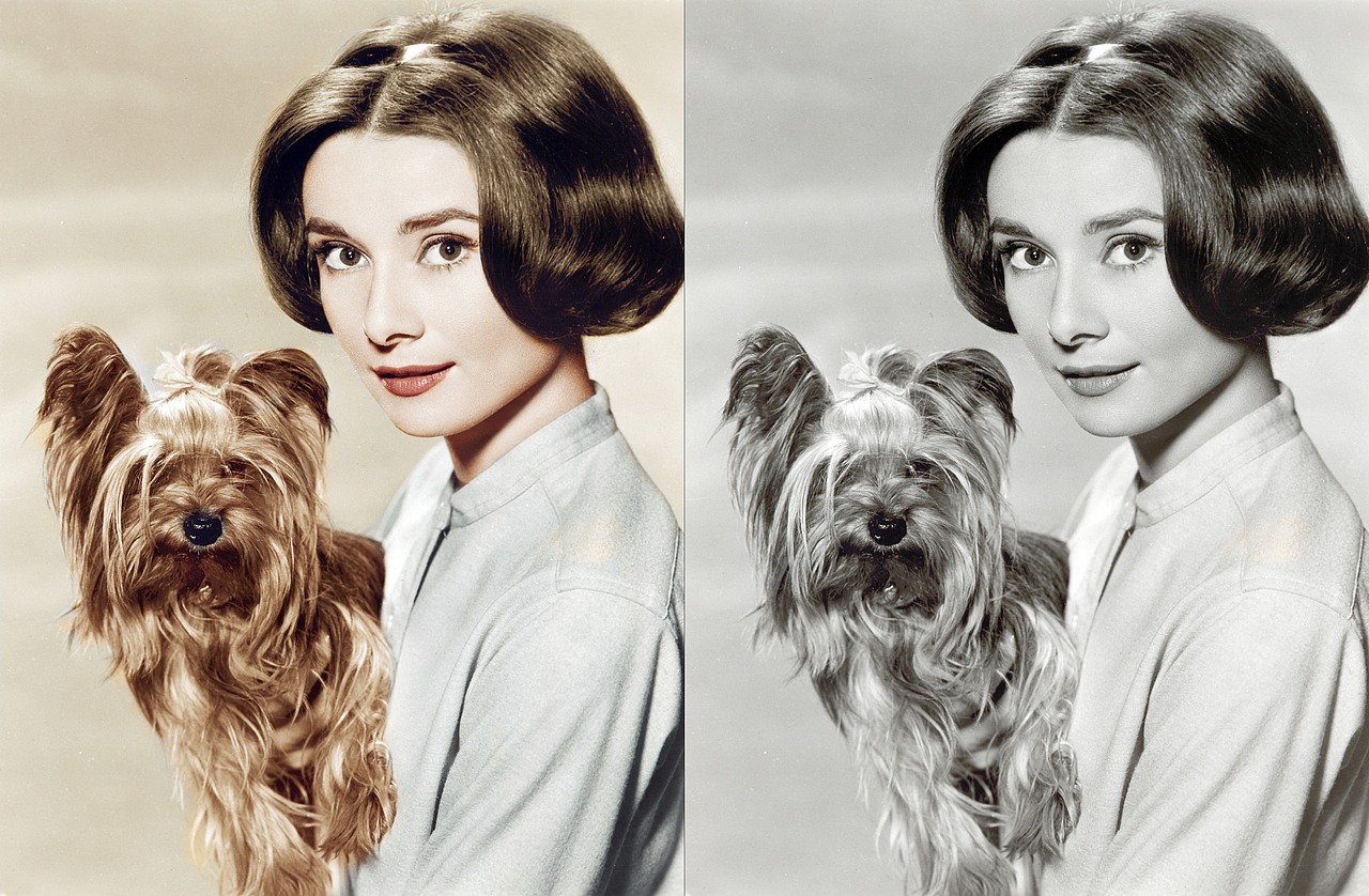 黑白照片上色练习