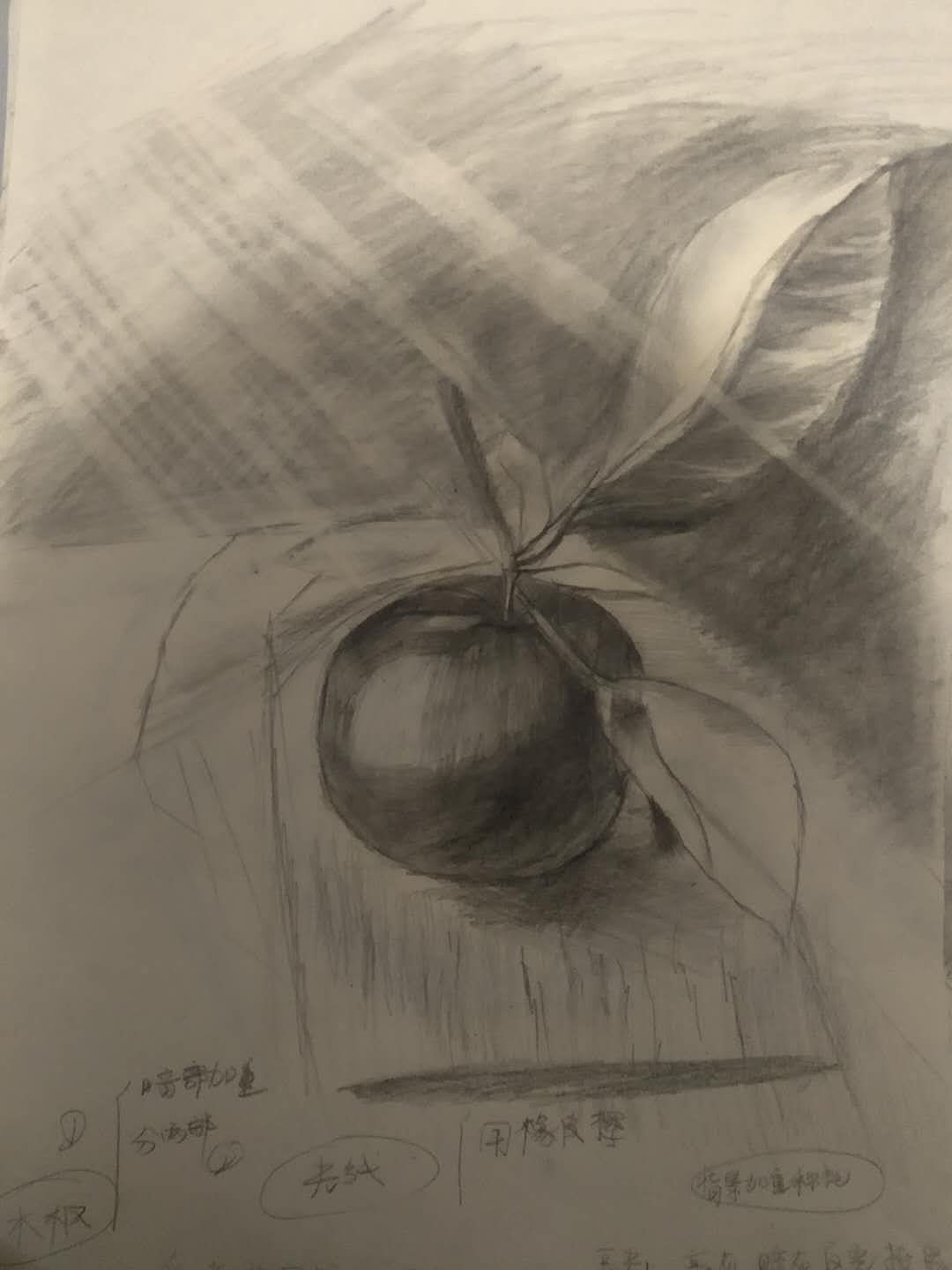 近期素描作品（图ZMTY1MzEzOTUy） - 其他 - 站酷设计师康静林原创素材 - 站酷ZCOOL