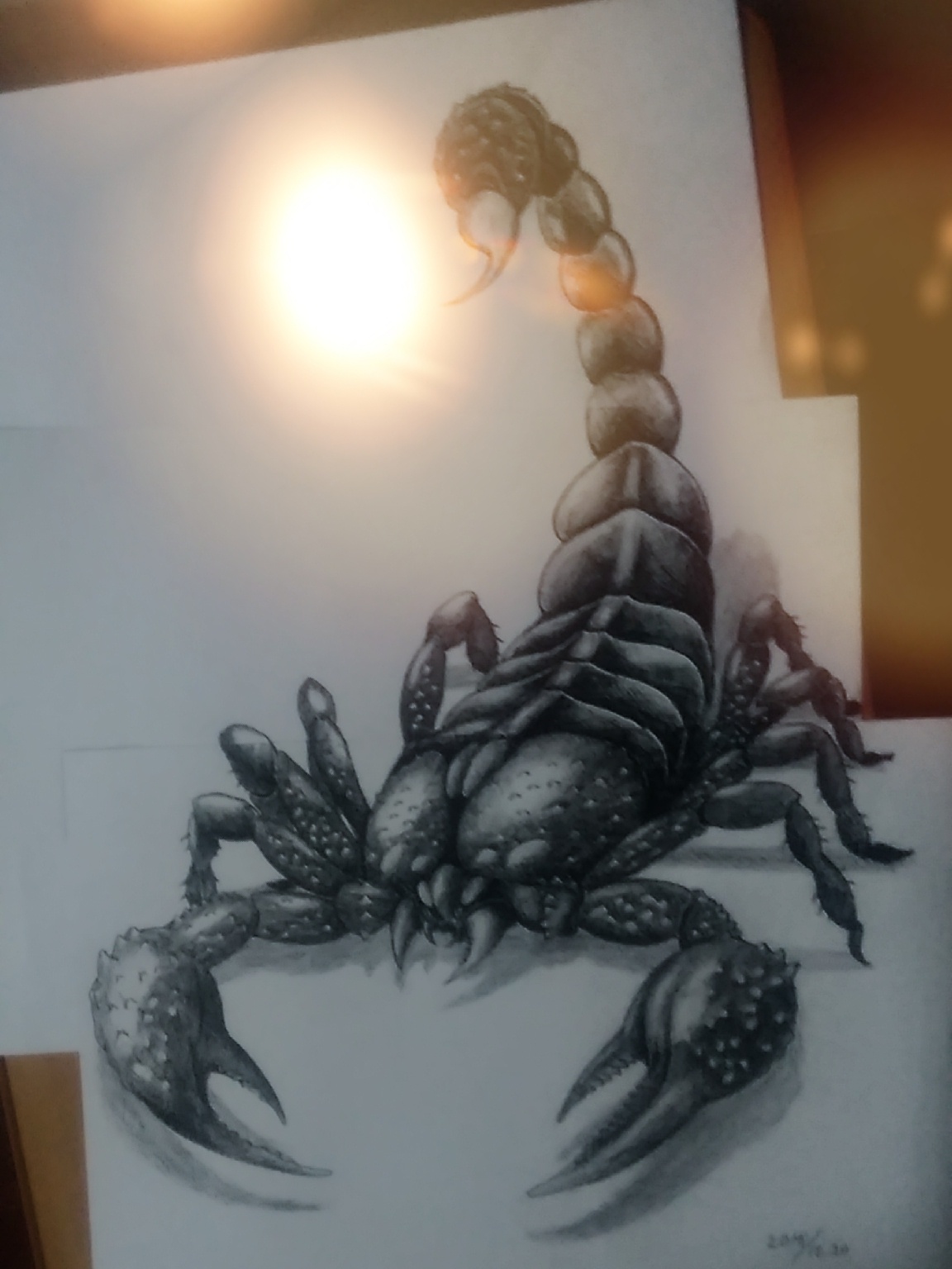机械蝎子怎么画简笔画,画蝎子简笔画 - 伤感说说吧