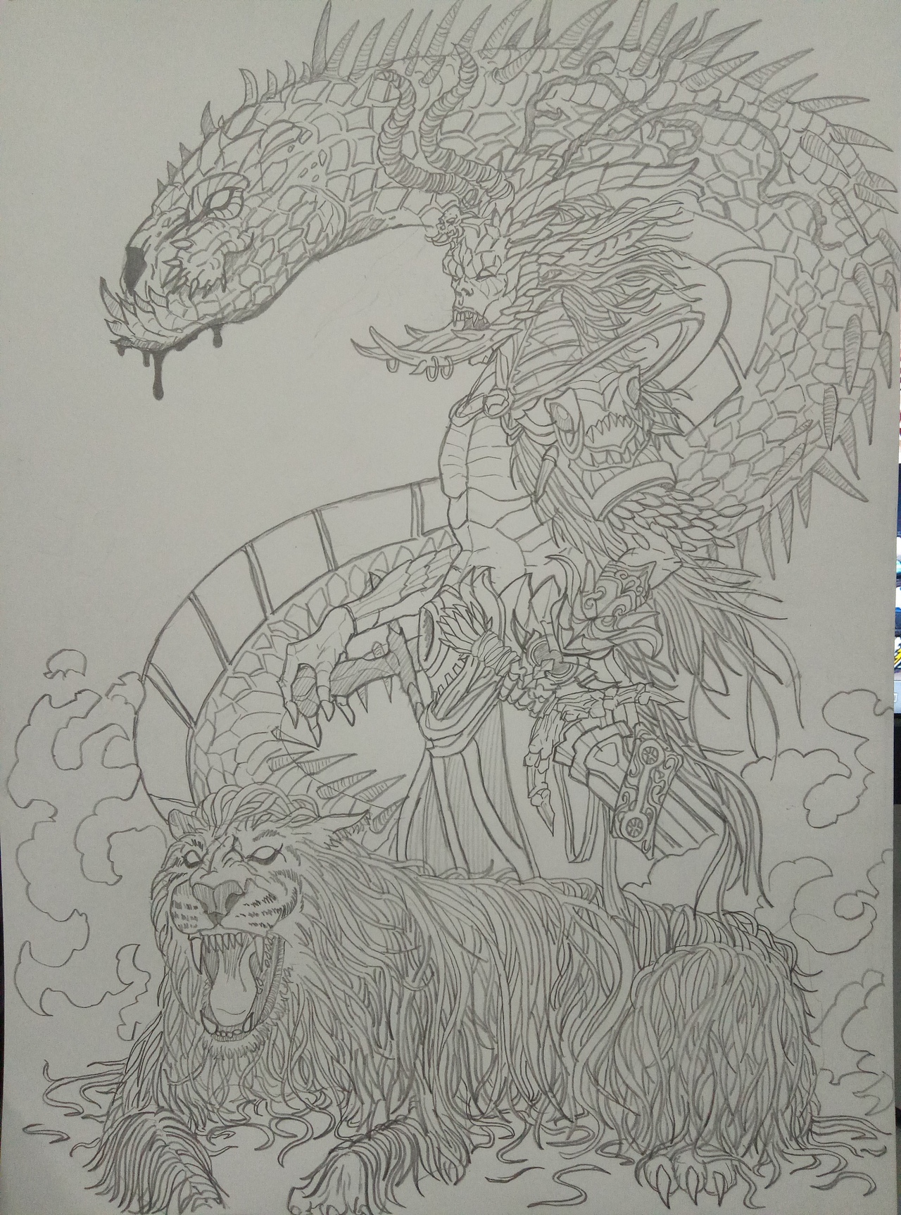 树莓迷茫大四狗