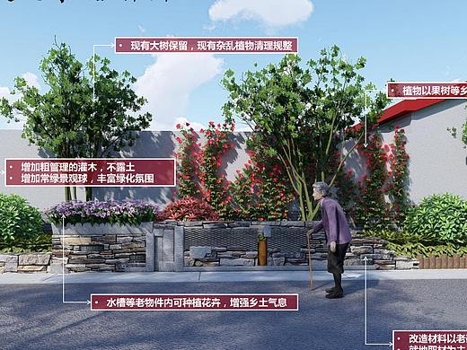 美丽乡村 街道改造提升 环境整治设计