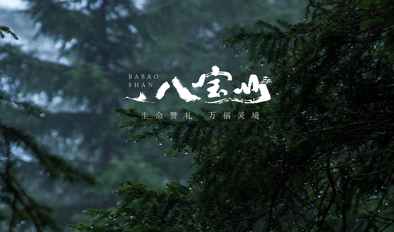 地产提报-万年长青（图ZMzY0NjUxMjY4） - 品牌 - 站酷设计师李柯镛原创素材 - 站酷ZCOOL