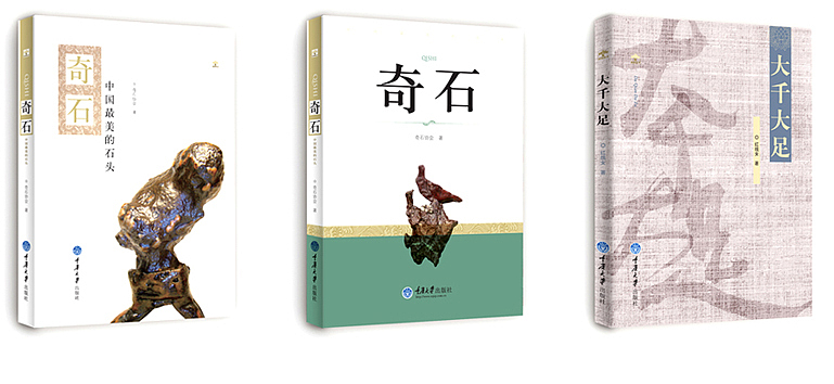 回顾--2010下半年几本书出方案时的效果图,补缺期批