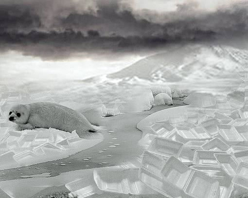 一次性飯盒公益廣告（個(gè)人主頁(yè)-ZMzM5NzAzNg==） - 宣傳物料 - 站酷設(shè)計(jì)師chareel原創(chuàng)素材 - 站酷ZCOOL