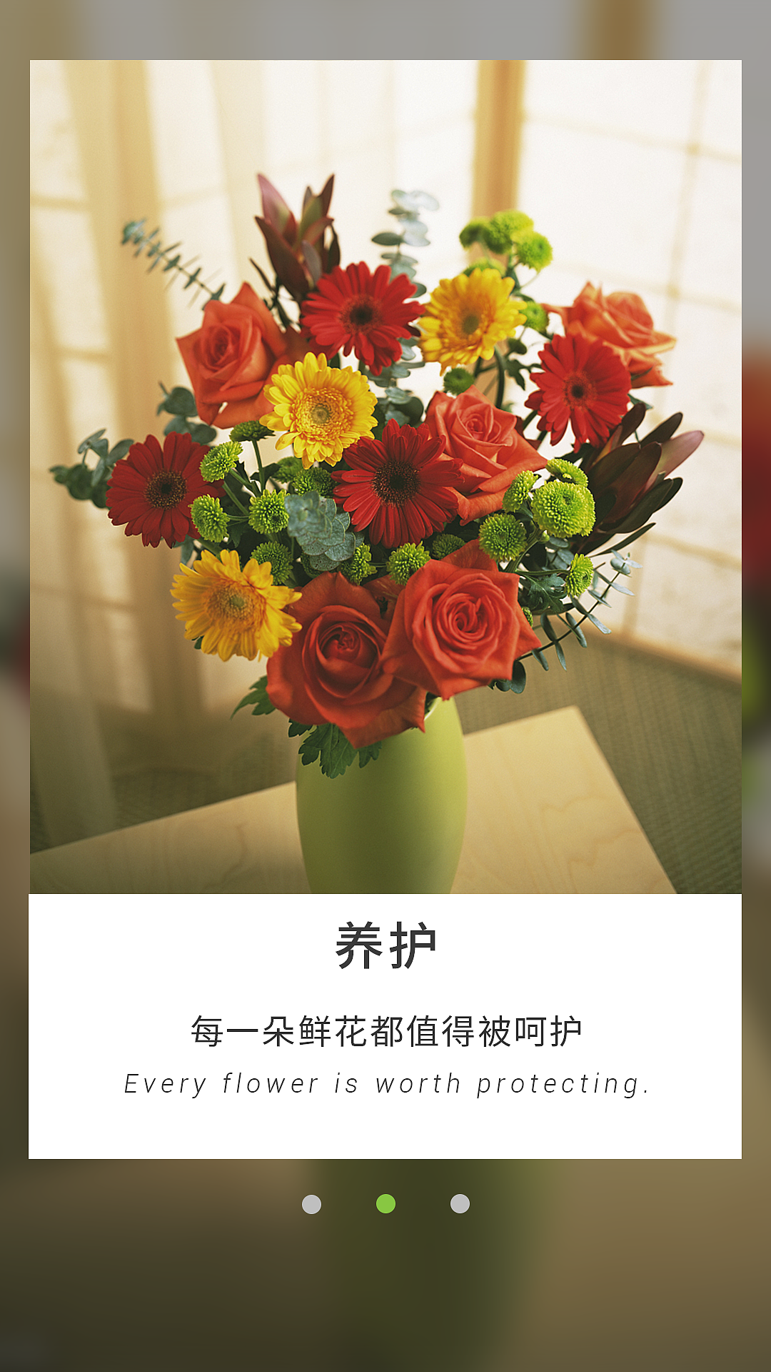 花店APP引导页（图ZMTQ1OTc1ODYw） - 闪屏/壁纸 - 站酷设计师陌城爱学习原创素材 - 站酷ZCOOL