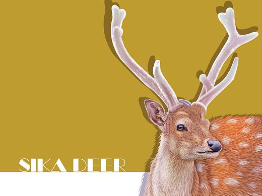 动物插画-梅花鹿