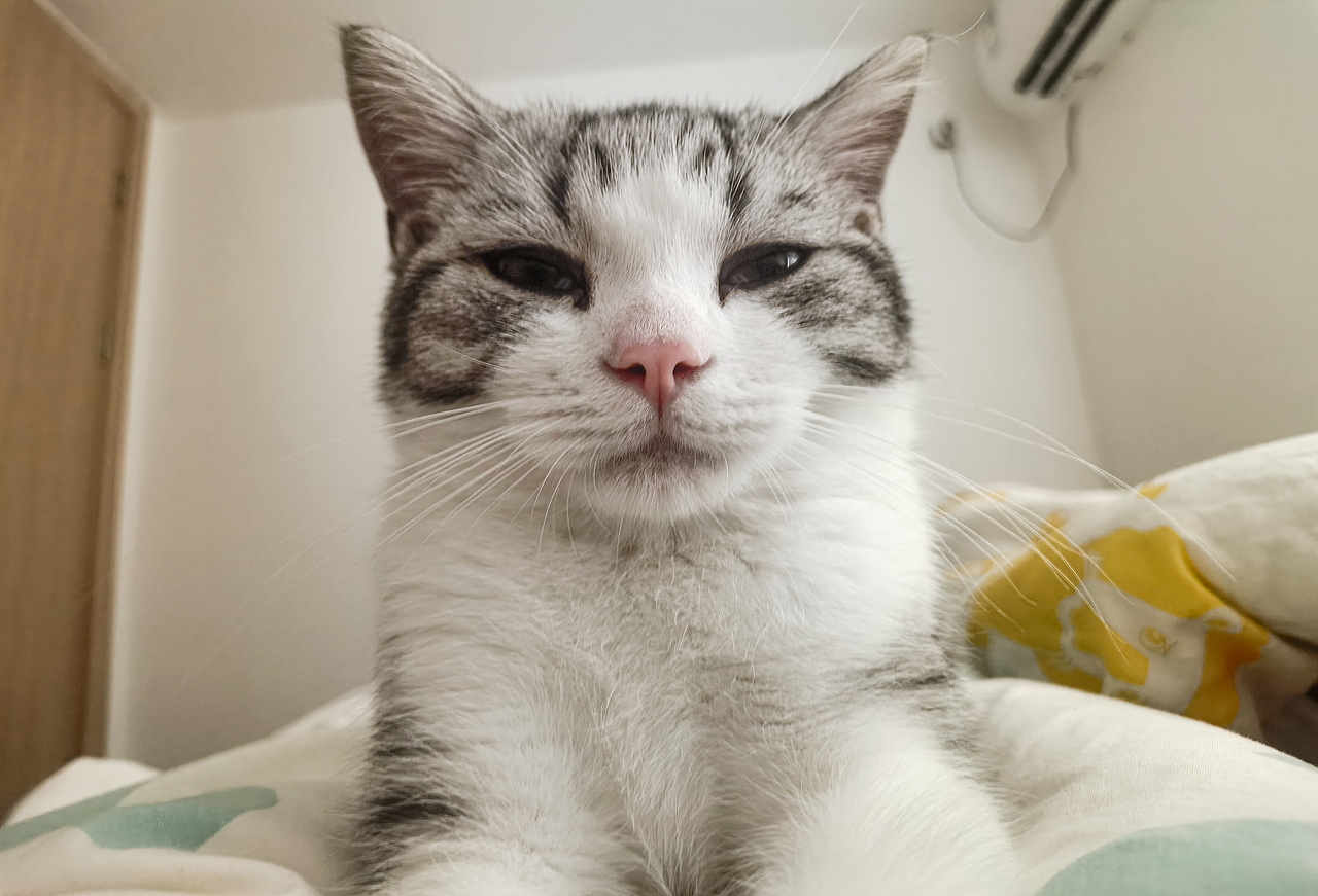 轻轻敲碎沉睡的心灵/慢慢睁开你的眼睛