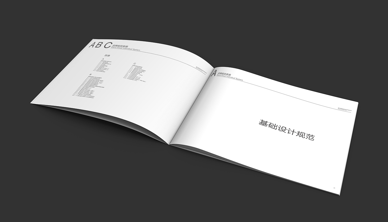 金融公司 VI手册