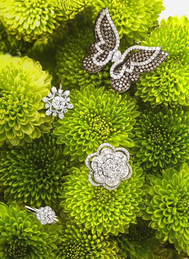 花儿的缠绵 珠宝的贵 演绎了一出唯美的温馨画面——瓦力