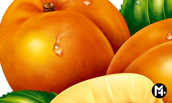 水果系列|电脑喷绘