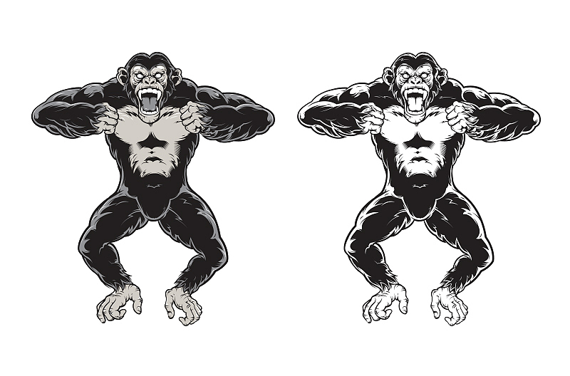 tco- year of the monkey（图ZNTQwMTA4OTY=） - 商业插画 - 站酷设计师章鱼ZX原创素材 - 站酷ZCOOL