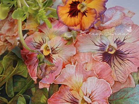 蘸水笔针管笔｜角堇