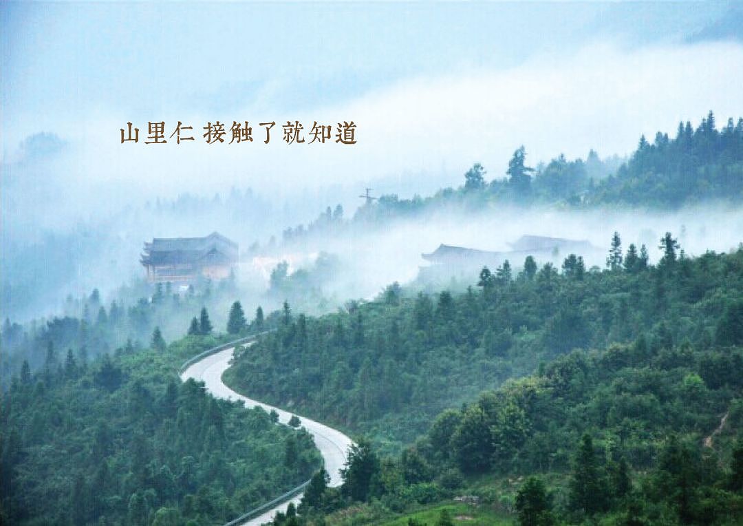 土特产休闲食品包装设计（图ZMjAwMDQyNTAw） - 包装 - 站酷设计师品为设计原创素材 - 站酷ZCOOL
