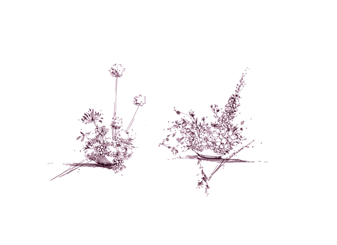 花艺手绘草图快速表达（图ZMTU5NDQ3NTk2） - 绘画 - 站酷设计师咚咚婚礼手绘原创素材 - 站酷ZCOOL