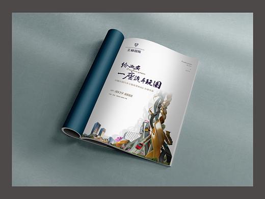 提案