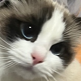 不也就这样了的头像