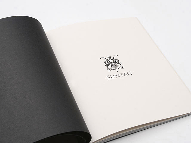 苏门答腊艺术视觉设计2011上/作品集