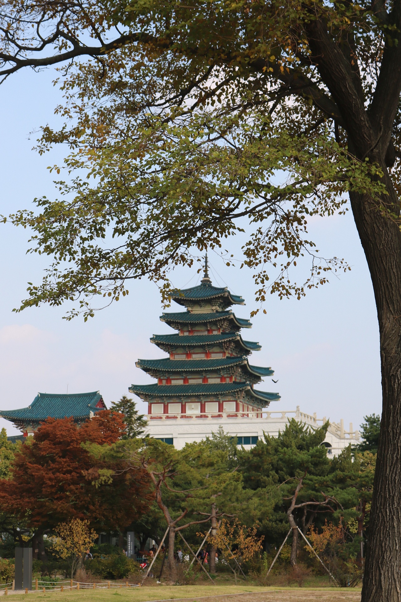 风光//首尔旅拍