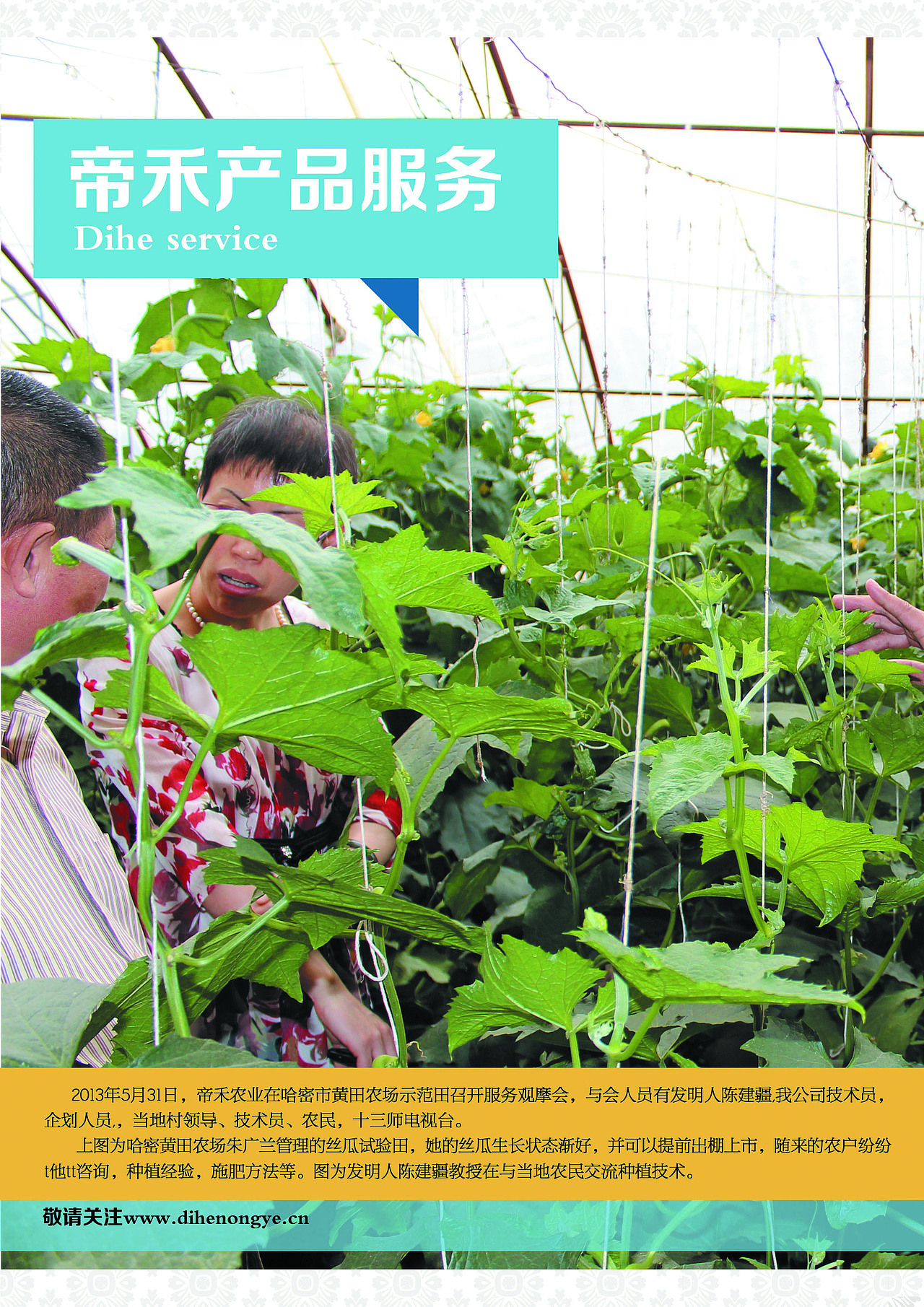 帝禾农业水溶性有机肥画册 DM（图ZMTE0NDU4MDQ=） - 书籍/画册 - 站酷设计师billiejean原创素材 - 站酷ZCOOL