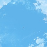 Asutorea的头像