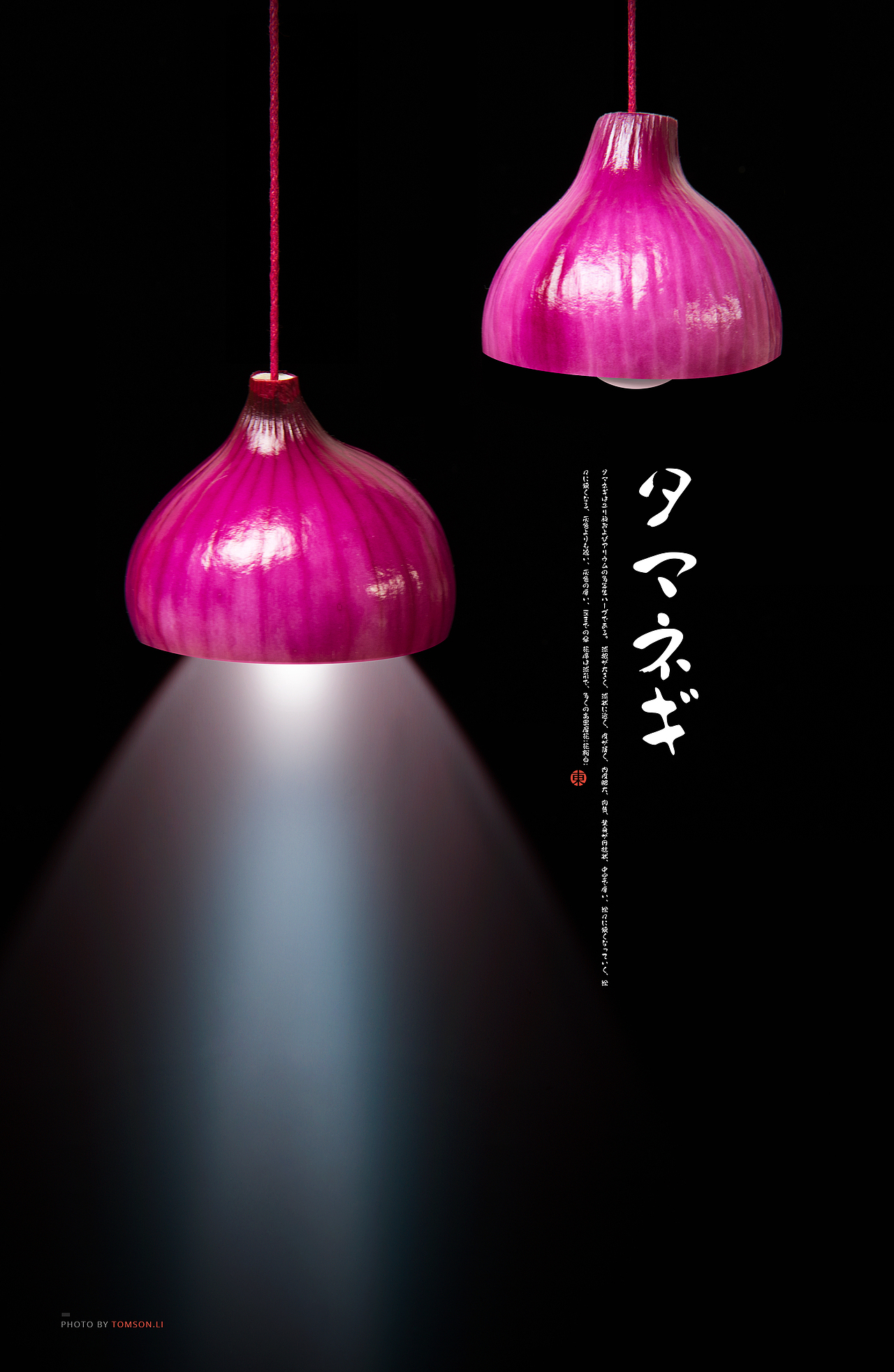 圈圈葱 | ONION（图ZMTEyMDczNTAw） - 产品摄影 - 站酷设计师Tomson.li原创素材 - 站酷ZCOOL