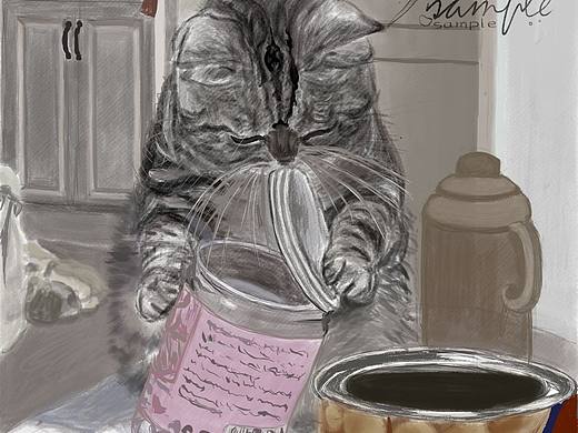 会开盖子的猫