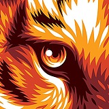 StrengthDesign的头像
