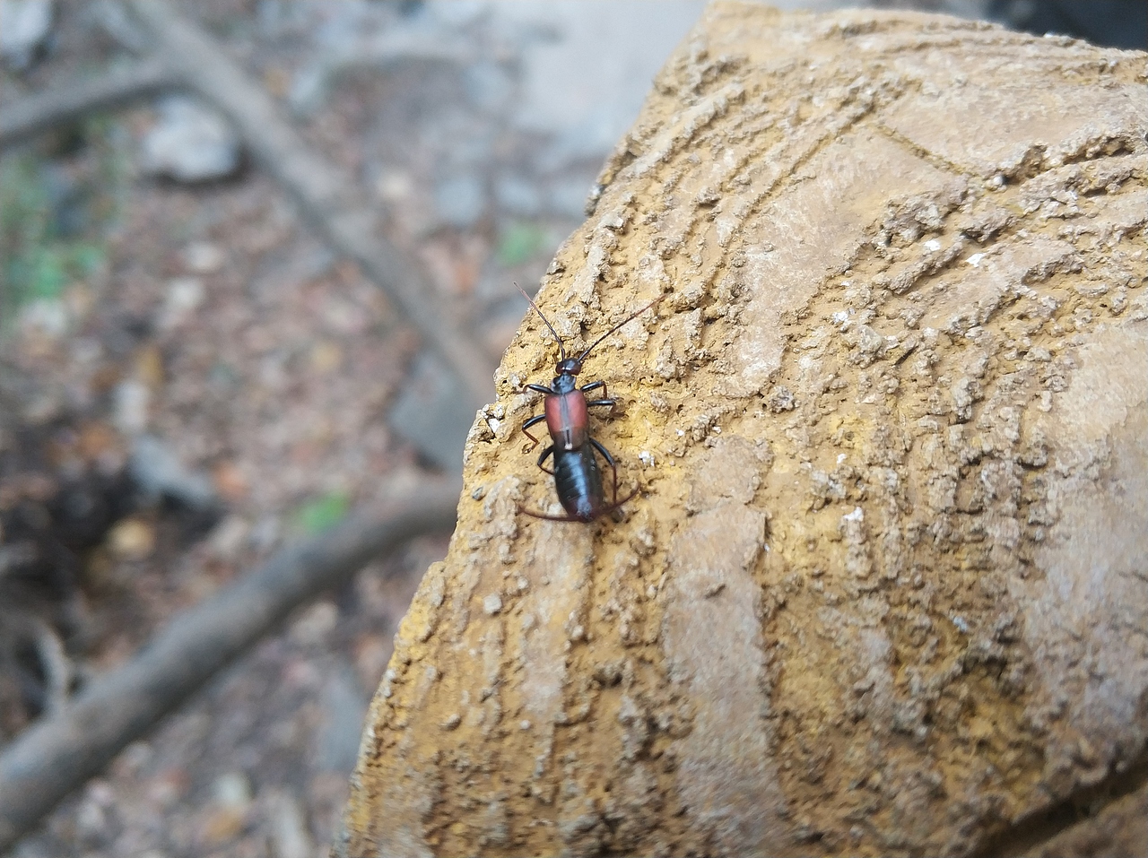 摄影 · 《绿石谷》